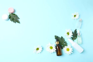 Doğal kozmetik, çiçekler, nane, krem, pamuk, pamuk, pamuk tomurcukları ve mavi arkaplanda papatya çiçekleri ile düz bir üst görünüm.