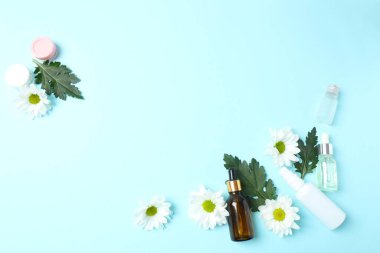 temel yağ ve taze bitkiler mavi arka planda düz konum, üst görünüm