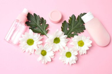 Kozmetik şişesi, papatya çiçeği, pembe arka plan, düz yatış