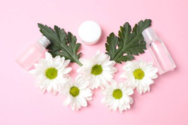 Papatya çiçekli kozmetik şişesi, pembe çiçekler. düz alan, üst görünüm, kopyala boşluk