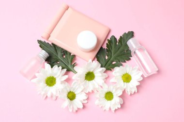 Kozmetik şişeler, papatya çayı ve pembe arka planda pembe çiçekler. düz yatış, üst görünüm.