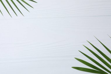 Metniniz için boşluğu olan beyaz arkaplanda tropik palmiye yaprakları