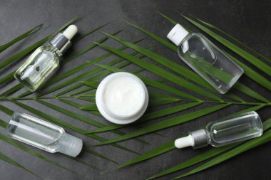 Gerekli yağ şişeleri ve gri arkaplanda taze aloe vera yaprakları ile kompozisyon