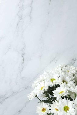 Güzel beyaz mermer çiçek mermer bir arka planda.