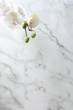 Beyaz mermer desen arkaplanı