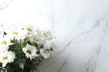 güzel beyaz kasımpatı çiçekleri beyaz mermer masa üzerinde, düz yatıyordu