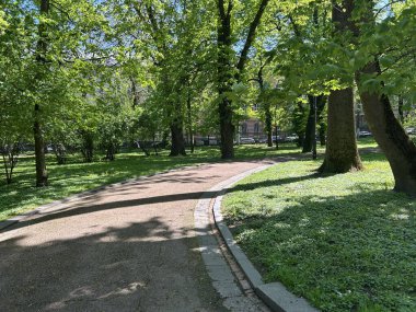 Moskova, Rusya - Haziran 23, 20 0 18: Moskova 'da parkta yürüyen insanlar