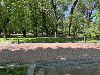 Şehir parkına park et