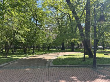 Parkın güzel manzarası