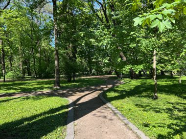 Parkta ağaçların ve çimlerin olduğu bir park manzarası.