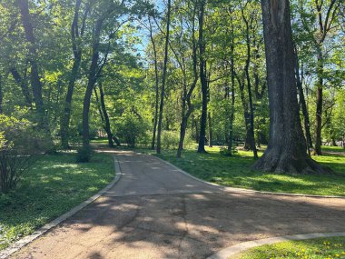 İsrail şehrindeki güzel bir park.