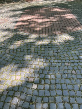 Parkta küçük taşlar olan bir kaldırım.