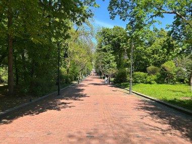 Parkın güzel manzarası