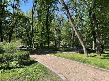 Parkın güzel manzarası