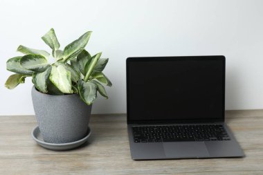 beyaz arkaplanda boş ekranlı dizüstü bilgisayar kopyalama alanı ile