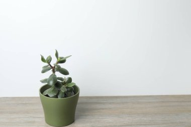 Beyaz ahşap masadaki tencerede sulu. Boşluğu kopyala, üst görünüm