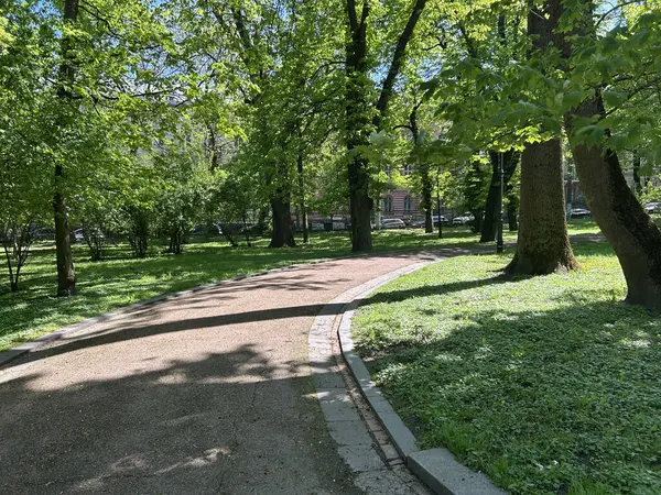 Moskova, Rusya - Haziran 23, 20 0 18: Moskova 'da parkta yürüyen insanlar