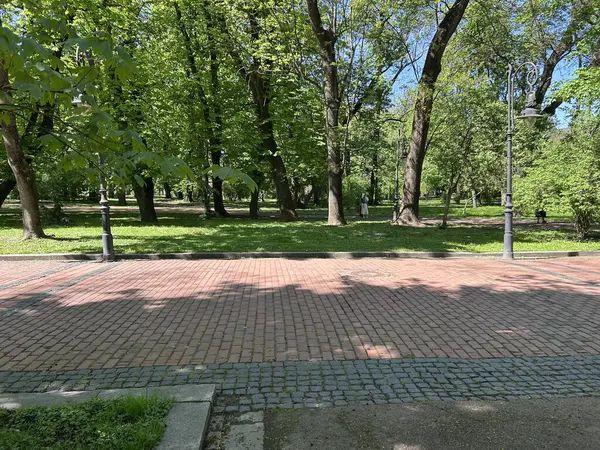 Şehir parkına park et