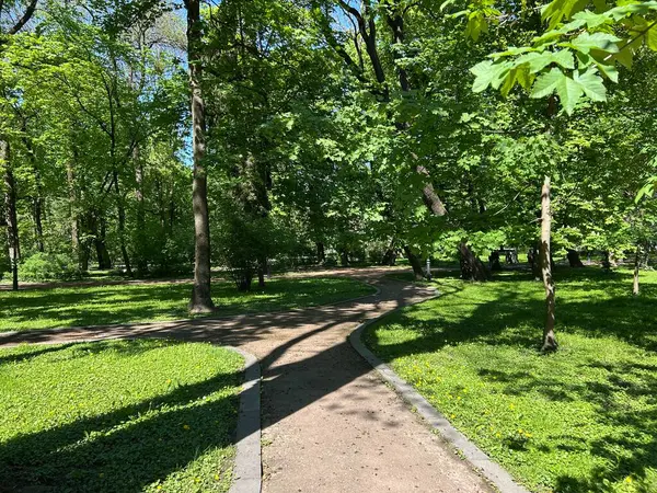 Parkta ağaçların ve çimlerin olduğu bir park manzarası.