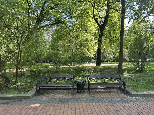 Parktaki bankta. yaz günü.