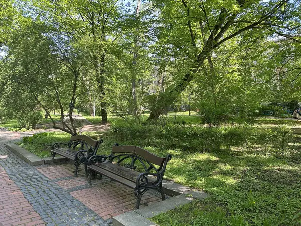 Parktaki bankta. Park yerinde dinlen.