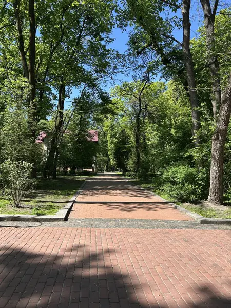 Parkın güzel manzarası