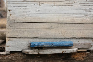 Arkaplanı bulanık olan ahşap bir çitin yakın plan çekimi.