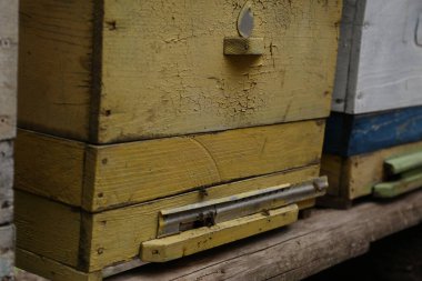 Eski sarı ve kahverengi ahşap kutu