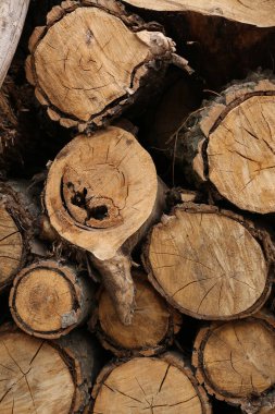 Ahşap dokular, doğal ahşap