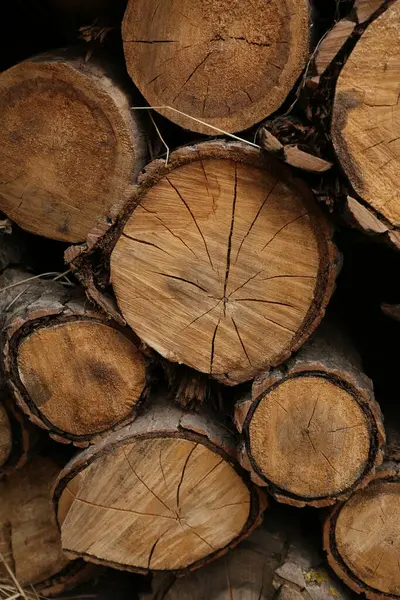 Yakacak odun yığını, yaklaşın.