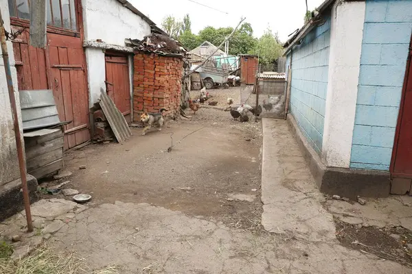 Şehirde terk edilmiş eski bir ev.