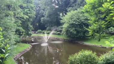 Parktaki küçük şelale yeşil ağaçlar