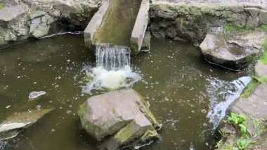 Parktaki küçük şelale yeşil ağaçlar