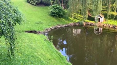 Parktaki küçük şelale yeşil ağaçlar