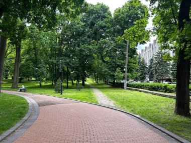 Yaz gününde yeşil park