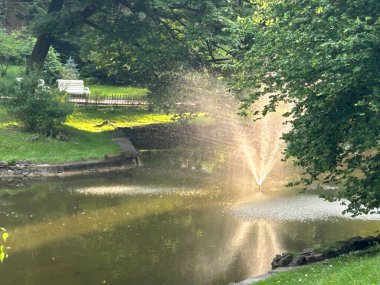 Parkın güzel manzarası