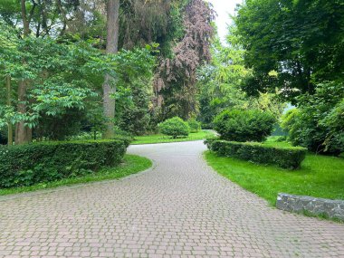 Parkın güzel manzarası