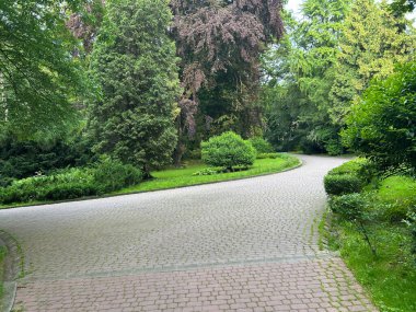 Yazın güzel bir park ve bahçe.