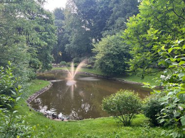 Parktaki güzel şelale