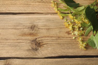 Ahşap zemin üzerinde ıhlamur çiçekleri olan bir fincan bitki çayı.