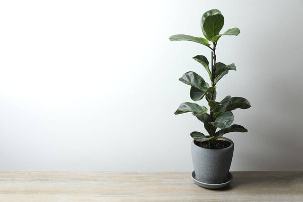 Проживание в кастрюле на деревянном фоне стола