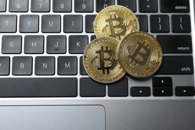 Bilgisayarın arka planında Bitcoin, altın para, kripto para. Demir