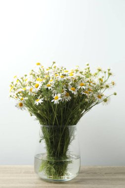 Vazoda taze papatya çiçekleri