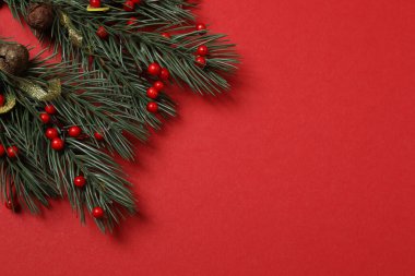 Hediye kutusu ıvır zıvırı üst görünümü, köknar dalı, kırmızı arkaplan, metin için boşluk