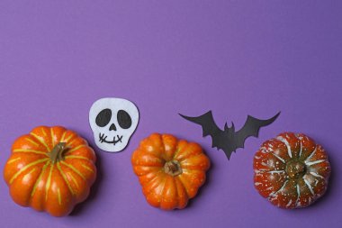 Portakal kabaklarıyla Cadılar Bayramı, siyah yarasalar, mor arka planda sonbahar yaprakları