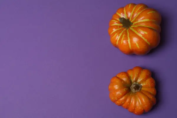 Portakal kabaklarıyla Cadılar Bayramı, siyah yarasalar, mor arka planda sonbahar yaprakları