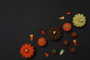 Kafatası, keneler, turuncu akçaağaç yaprakları, yarasalar, siyah arkaplandaki örümcekler ve metin için boşluk.