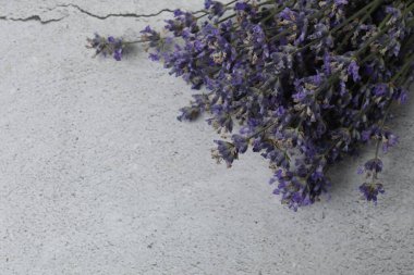 Lavanta yağı şişeleri, mermer arka planda lavanta.