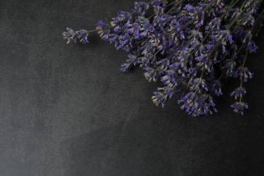 Lavanta yağlı şişeler, siyah mermer kaplama lavantalar.