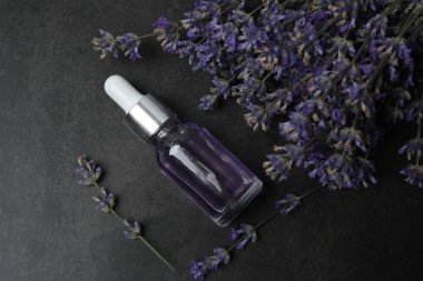 Lavanta yağlı şişeler, siyah mermer kaplama lavantalar.